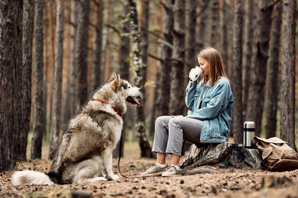 Young Girl with her Dog, Alaskan Malamute, Outdoor at Autumn. Domestic pet - Foto, imagen
