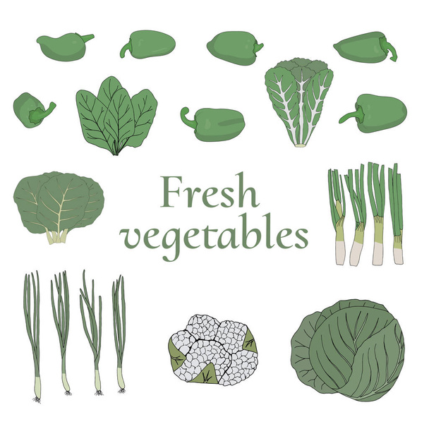 set of fresh green vegetables with inscription vector illustration - Vecteur, image