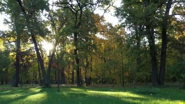 4k Hűvös őszi reggel a Bucha Central Parkban - Felvétel, videó