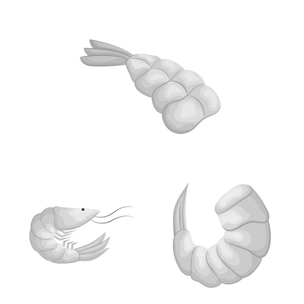 Vector design of crab and appetizer icon. Set of crab and sea stock vector illustration. - Vettoriali, immagini