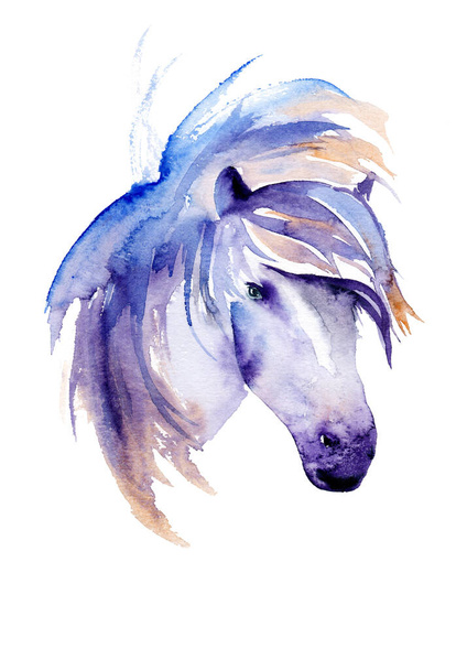 Aquarell-Zeichnung eines tierischen Pferdes, getupfter Kopf - Foto, Bild