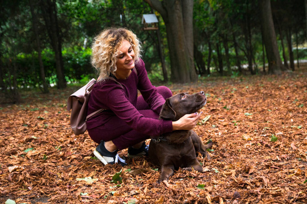 blonde curly girl is playing with chocolate labrador in the autumn park with orange leafs - Zdjęcie, obraz