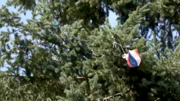 zabawka spadochron człowiek wisi na zielonym drzewie - Materiał filmowy, wideo