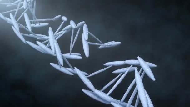 ДНК-нити собираются из отдельных элементов. Формирование ДНК. Вертикальная структура цепочки ДНК крупным планом
 . - Кадры, видео