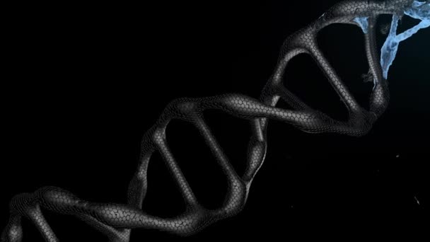 3D animation του μπλε σκέλος DNA. Ρήξη της μαύρης μεμβράνης DNA. Σχηματισμός DNA. Ελική δομή του κλώνου dna close-up. - Πλάνα, βίντεο
