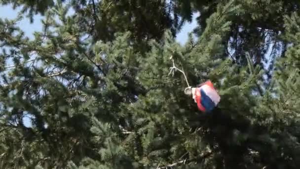 игрушечный парашютист, висящий на зеленом дереве
 - Кадры, видео