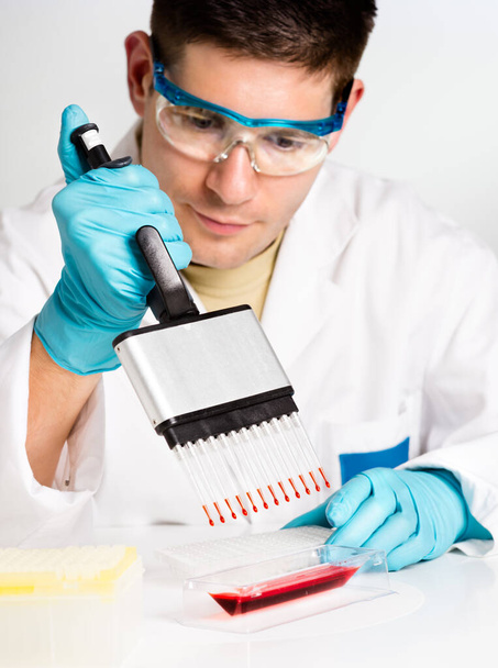 Young biologist sets up PCR reaction - Foto, afbeelding