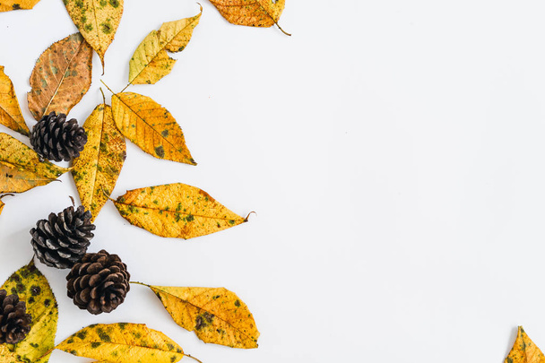 Жовте листя на білому і восени і чашка кави
 - Фото, зображення