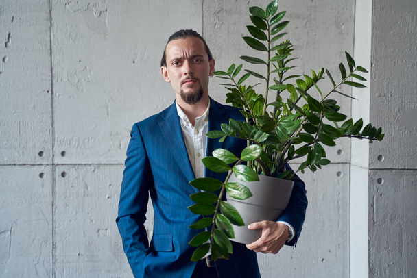 Photo of man in business suit with houseplant in hand on background of gray concrete wall . - Фото, изображение