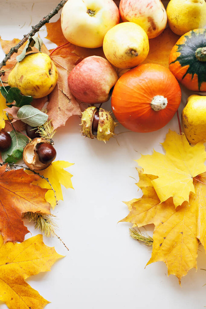 Autumn still life with fruits and vegetables - Fotoğraf, Görsel