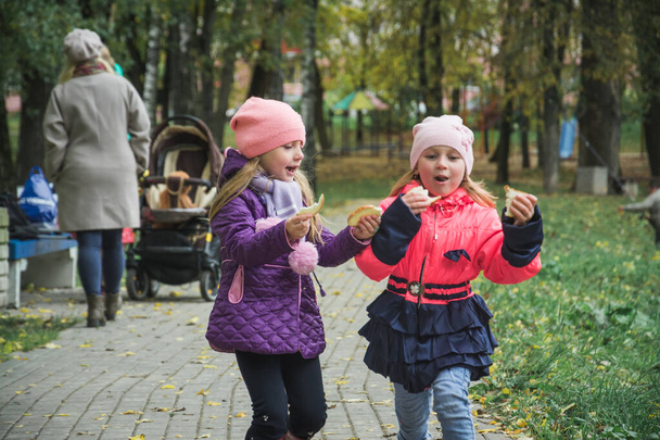 Two little girls in the age of five years play in fun in the autumn park - Foto, immagini