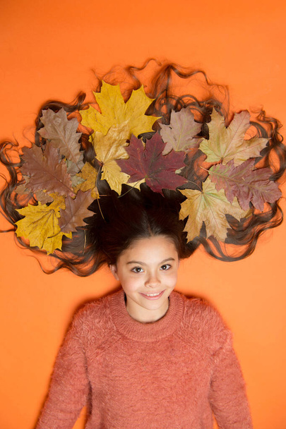 Leafy hairstyle. Small girl wear autumn foliage in curly hairstyle. Best autumn hairstyle. Creating hairstyle using fall leaves. Having fun with autumn leaves - Valokuva, kuva