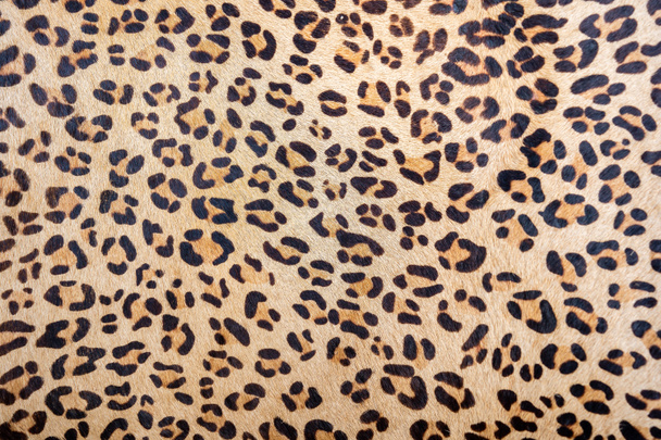 Seamless brown and beige of Leopard.Animal skin or fur hairy texture. Use for luxury pattern design wallpaper background, textile, gift wrapping design, any printed materials ,advertising. - Photo, Image