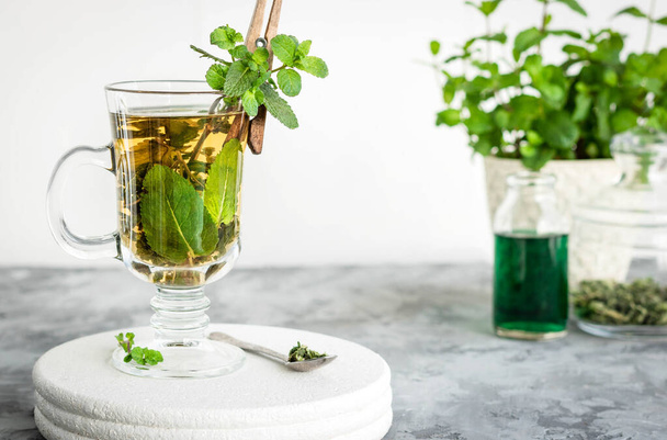 Soothing tea with fresh and fresh mint and peppermint syrup. - Photo, Image