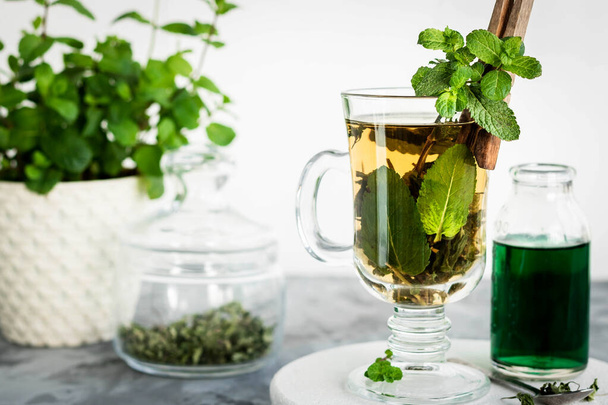 Soothing tea with fresh and fresh mint and peppermint syrup. - Photo, Image