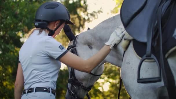 boční pohled: Objetí s koněm  - Záběry, video