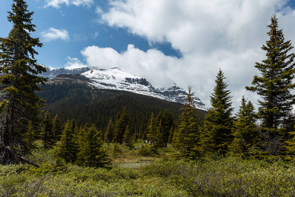カナダのバンフ国立公園の弓の谷の風景 - 写真・画像
