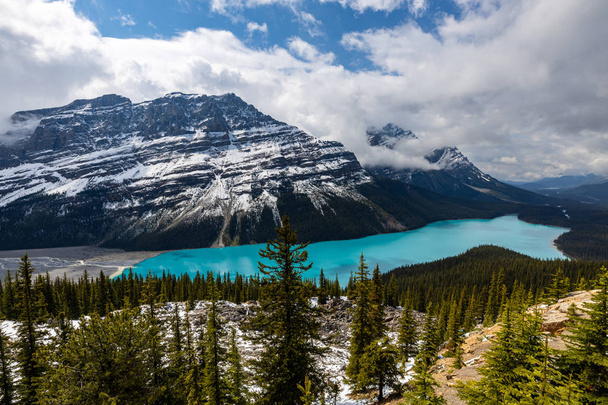 Lake Peyto in het Rocky Mountains of Banff National Park in Canada - Foto, afbeelding