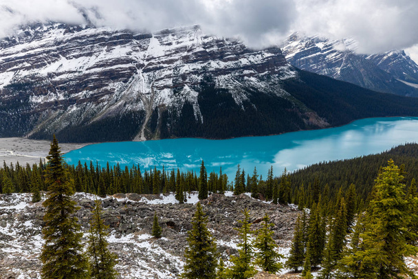 Lake Peyto a Sziklás-hegység Banff Nemzeti Park Kanadában - Fotó, kép