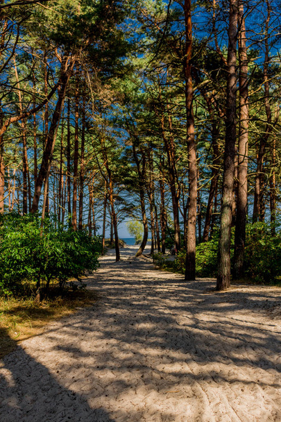 Paseo por la playa en la isla del Mar Báltico Ruegen - Ruegen / Ostsee / Alemania
 - Foto, Imagen
