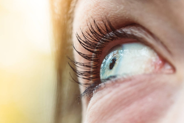 Feminine eye, close up with blue iris and eyelashes  - Foto, Imagem