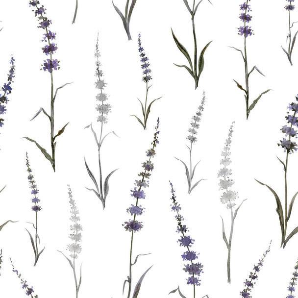 Seamless pattern of abstract plants similar to mint or lavender on a white background, watercolor drawing, print for fabric and other designs. - Foto, afbeelding