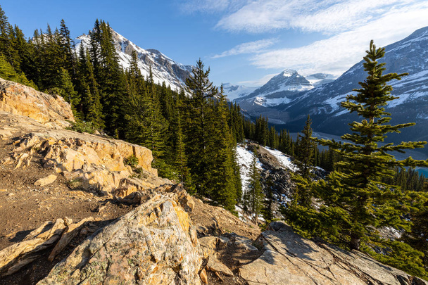 Tájkép a Bow Valley a Banff Nemzeti Park Kanada - Fotó, kép