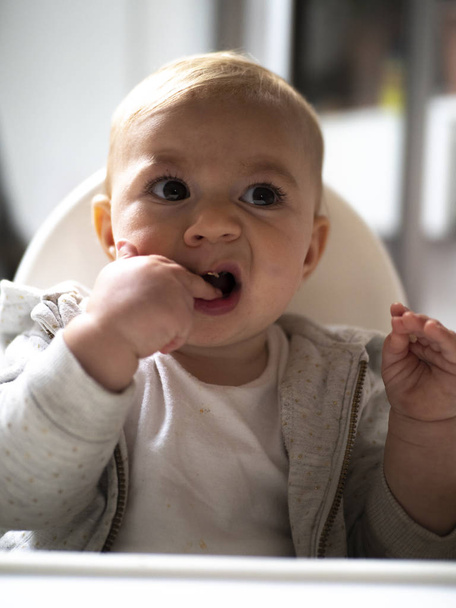 adorable baby girl with expressive face eating in high chair - Photo, image