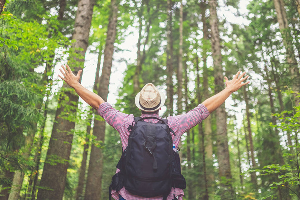 Voyageur à la mode avec les mains en l'air contre les arbres forestiers
. - Photo, image