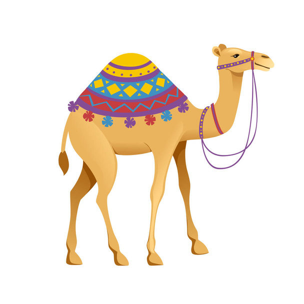 Χαριτωμένο καμπούρα καμήλα με χαλινάρι και σέλα κινουμένων σχεδίων ζώων σχεδιασμό επίπεδη διανυσματική απεικόνιση απομονώνονται σε λευκό φόντο - Διάνυσμα, εικόνα