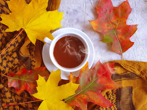 taza de café hojas de otoño sobre fondo de hormigón
 - Foto, imagen