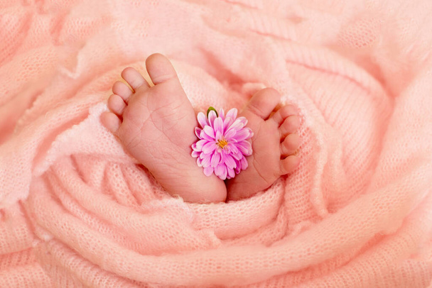  Pembe çiçekler, ayak parmakları ile yeni doğan kız bebek ayaklar, anne bakımı, sevgi ve aile kucaklama, hassasiyet.  - Fotoğraf, Görsel