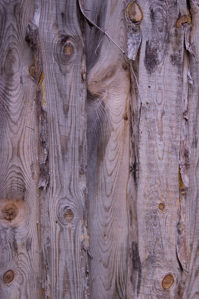 Wooden texture (natural background) - Foto, Imagem