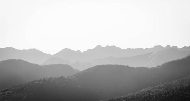 Montagnes brumeuses brouillard épais couvrant les collines couvertes d'épinette et ro
 - Photo, image