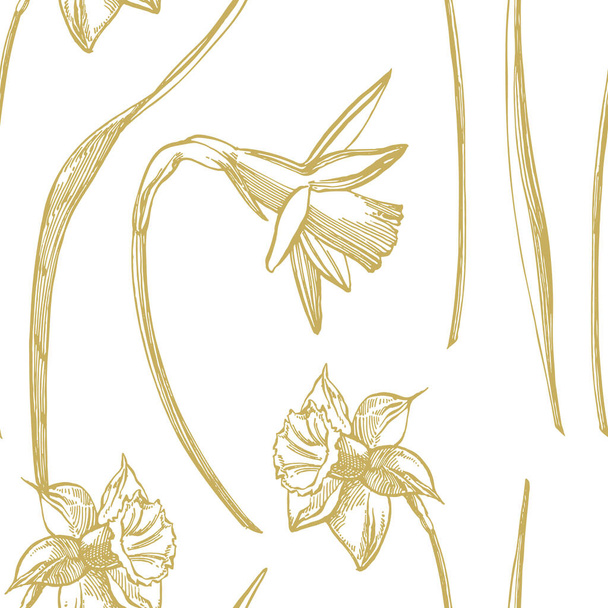 Daffodil or Narcissus flower drawings. Collection of hand drawn black and white daffodil. Hand Drawn Botanical Illustrations. Seamless patterns - Vektor, Bild