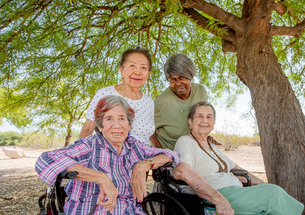 Různorodá skupina seniorských přítelkyň venku - Fotografie, Obrázek