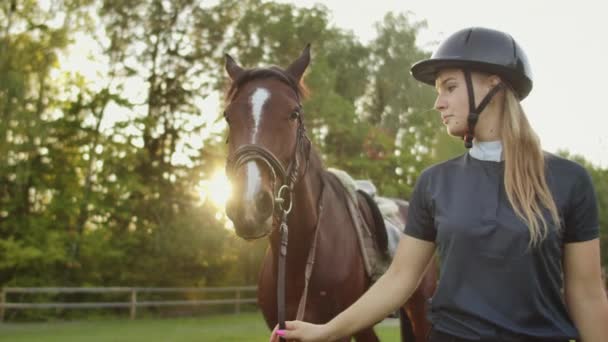 Prachtige momenten met een paard - Video