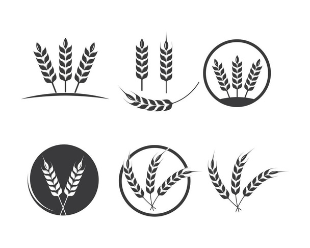 Значок вектора логотипа сельскохозяйственной пшеницы - Вектор,изображение