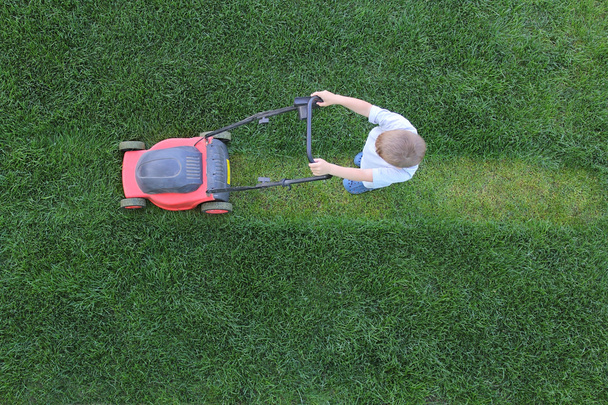 Ragazzino taglia un'erba usando tosaerba
 - Foto, immagini