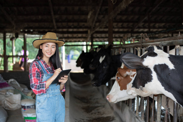 Asijské ženy zemědělství a zemědělství průmyslu a chovu zvířat - Fotografie, Obrázek
