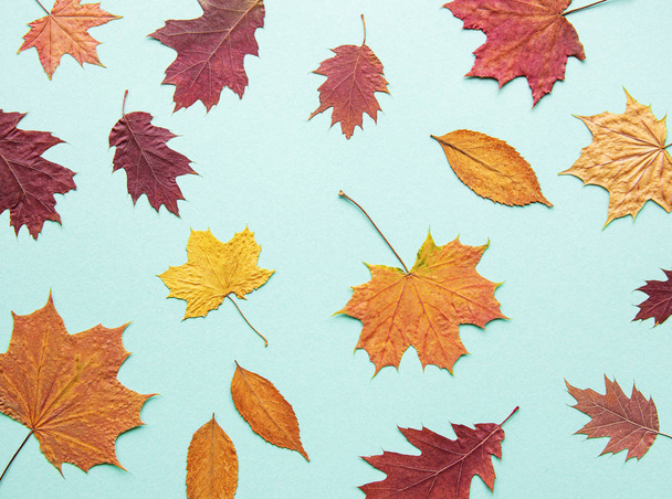Herbst Komposition mit Blättern - Foto, Bild