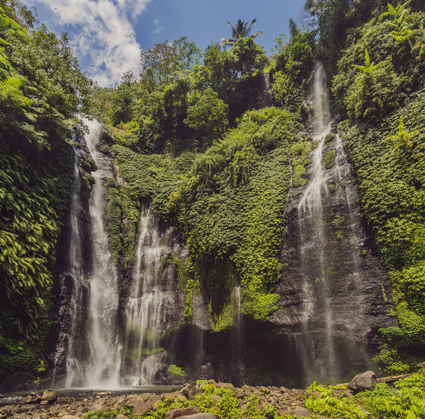 Beautiful tropical Sekumpul Waterfall in Bali, Indonesia - 写真・画像