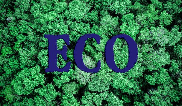 megtakarítás a bolygó koncepció, eco word szöveg a természet fák és hátteret hagy - Fotó, kép