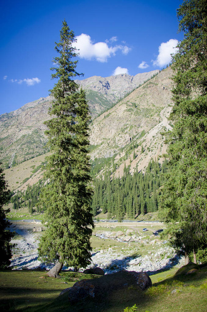 Kırgızistan 'daki dağlar. Doğa. - Fotoğraf, Görsel