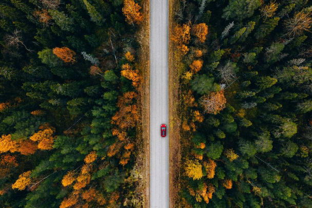 Aerial view of rural road in yellow and orange autumn forest in rural Finland.  - 写真・画像