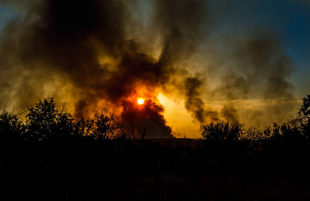 Een brand in een veld - Foto, afbeelding