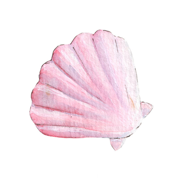 Tan Radial Seashell Isolated on White Background. watercolor - Foto, Bild