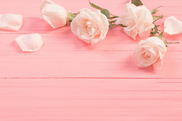 white roses on pink wooden background  - Фото, изображение