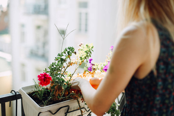 Young woman on a balcony gardening. Colorful flowers in white pots - Foto, Imagem