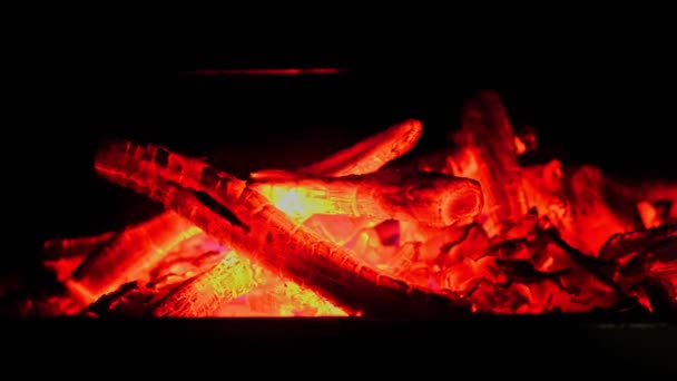 Horká červená a oranžová záře palivového dříví, dřevěné uhlí na grilu - Záběry, video